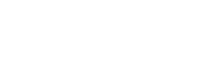 WellKept logo (white, transparent)